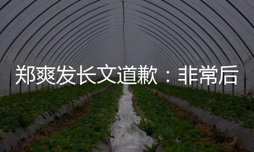 文道难按后悔发长非常服困缴税郑爽 克款时补歉